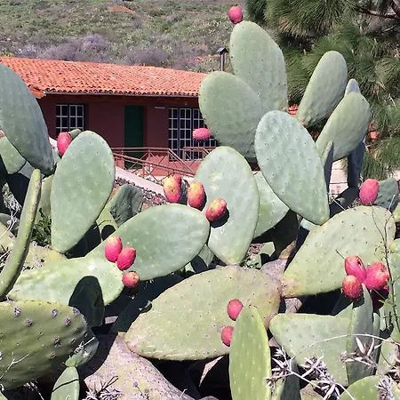 Casa de Férias El Cuarto De Aperos