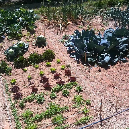 Casa de Férias El Cuarto De Aperos San Miguel de Abona